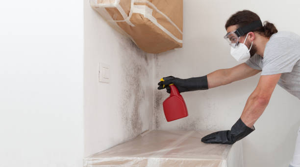 Attic Mold Remediation treatment on roof deck in Trenton